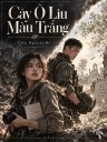 Cây Ô Liu Màu Trắng